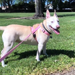 Meet your Posher, Shania